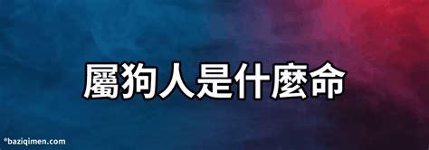 1994年屬|屬狗人：1994年是什麼命？准爆了！